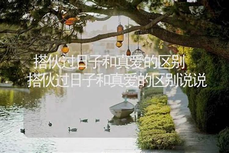 搭伙过日子和真正的夫妻的区别在哪