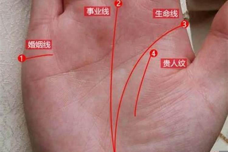 事业有成的名人手相