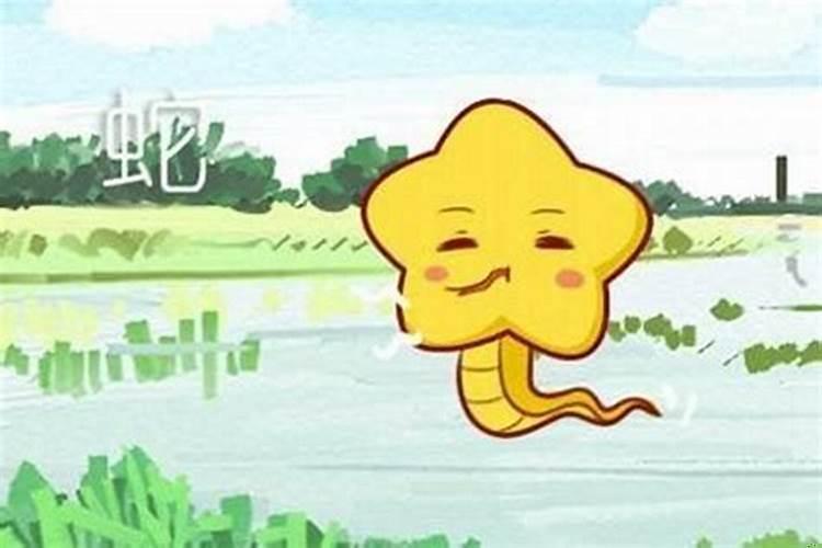 男属蛇女属猪结婚配吗