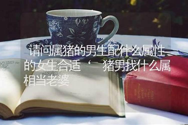 新娘属猪伴娘属什么好