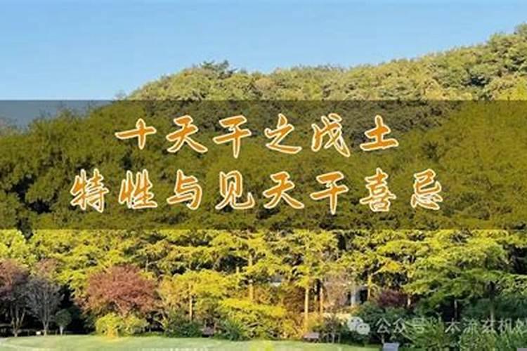 八字十天干性格最准