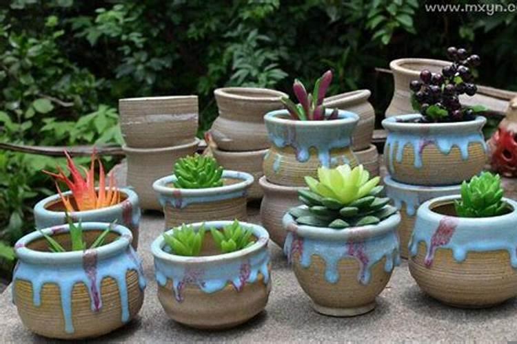 女人梦见花盆什么意思解梦