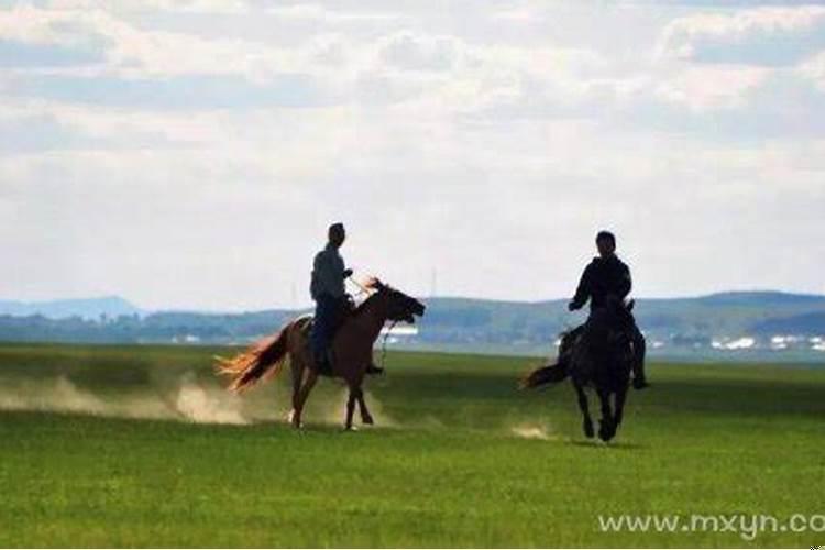 做梦梦到骑马车