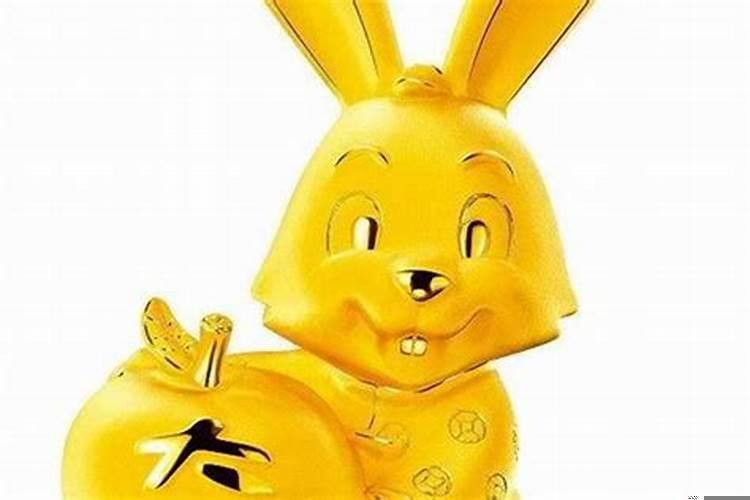 属兔的人今年运势如何