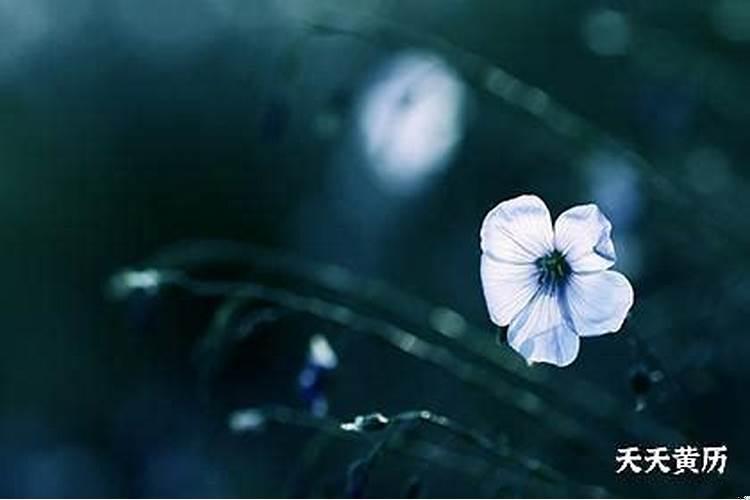 黄历上的建日是什么意思