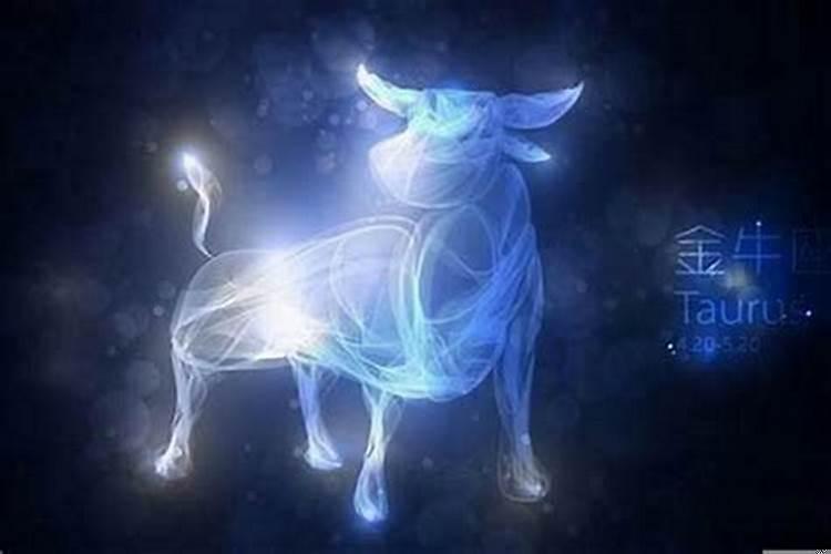 金牛座男喜欢一个人表现