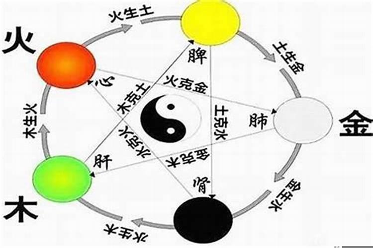 如何判断一个人五行属什么