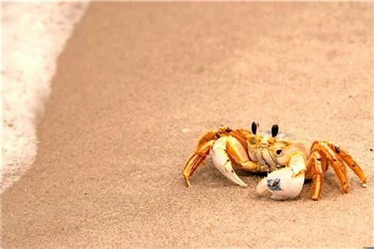 梦见搬进了新房子什么梦兆