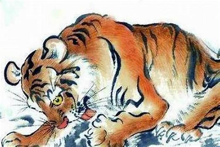 属虎和属蛇的相配吗?