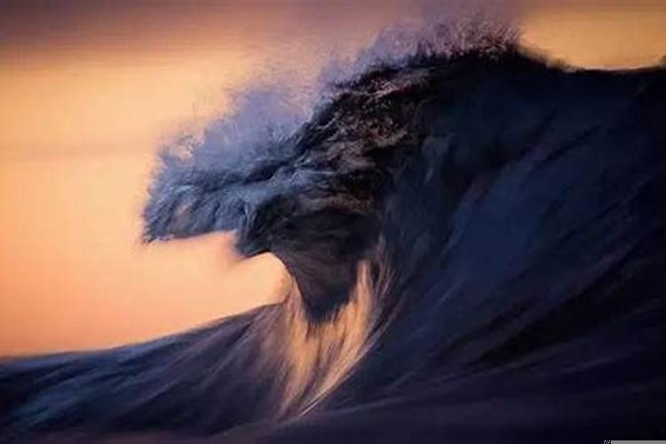 什么星座比较偏执