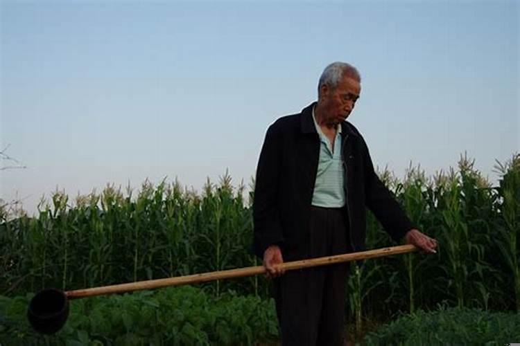 算命中说的中年是什么年龄