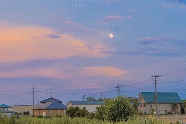 天蝎座的人心机重