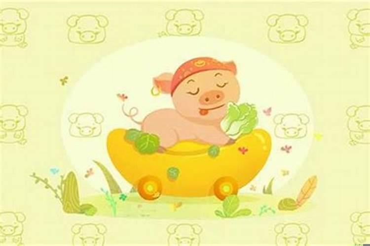 猴和兔是不是相克