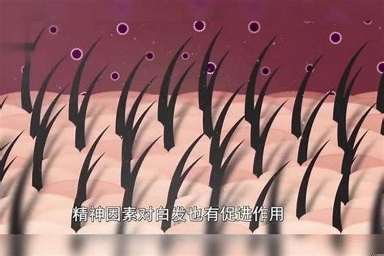 头发多的人命好