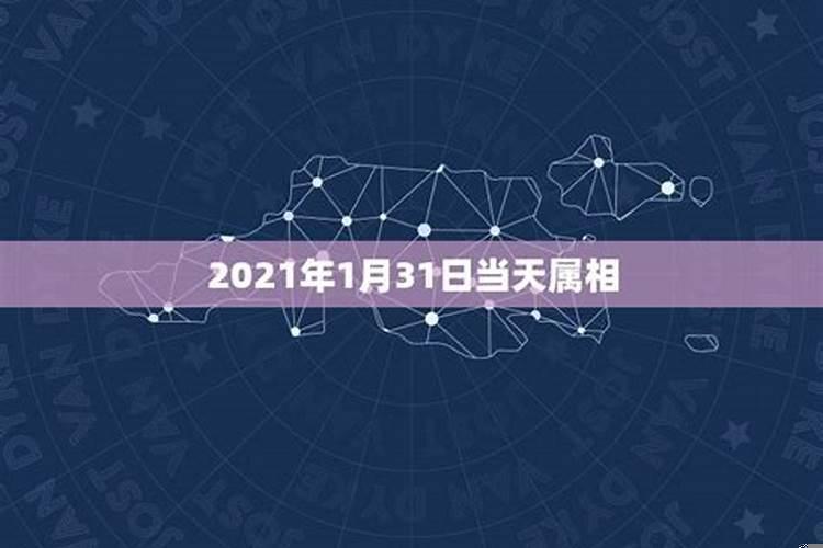 属兔人今年什么颜色是幸运色