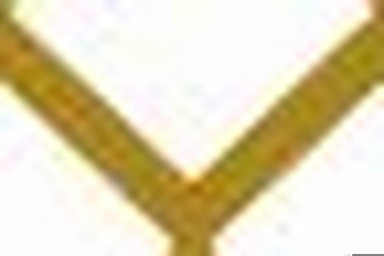 属猴的和属马的相合吗