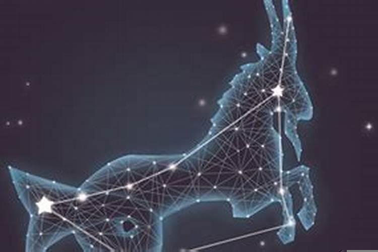 哪个星座创业成功率高