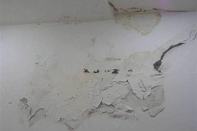 梦见墙面脱落皮