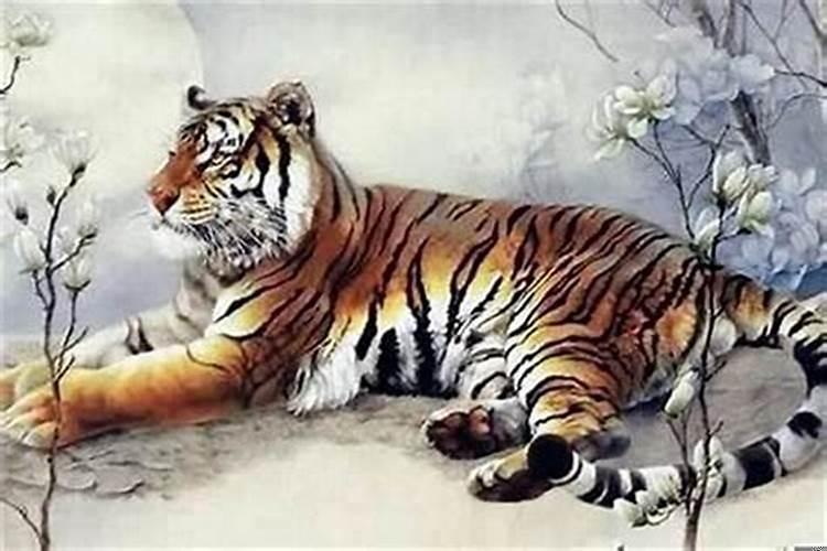 属虎的人生属牛的宝宝好不好