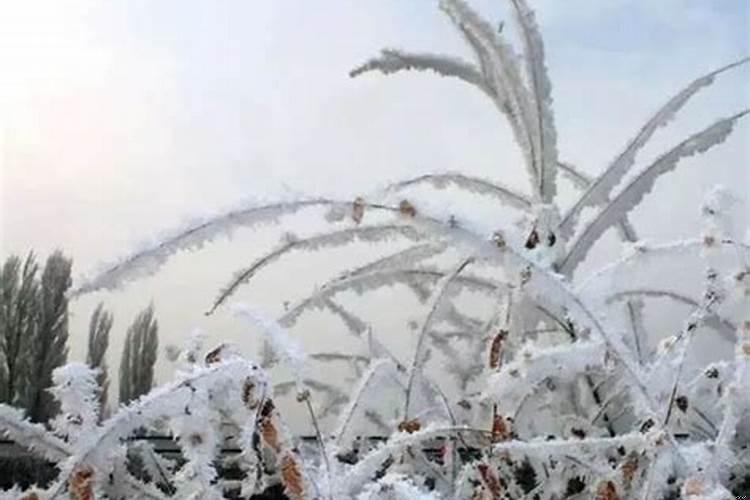 怎么和小人相处