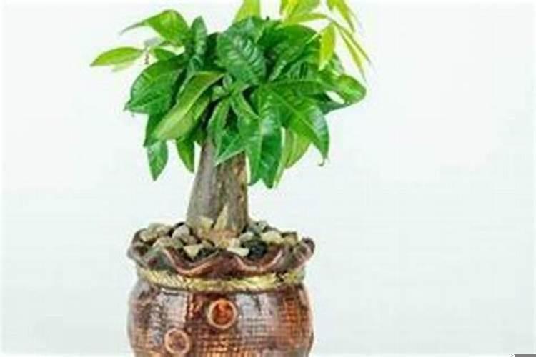 服装店招财摆件有什么讲究