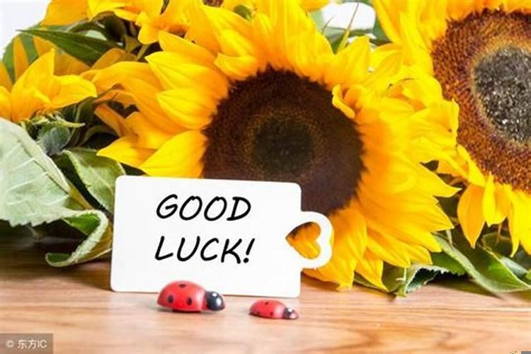 属猴今日的财运方位