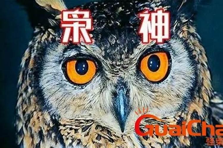 丙寅坐下枭神夺食什么意思