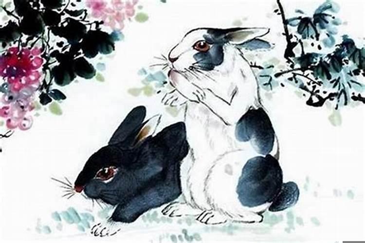 属兔的贵人有哪些