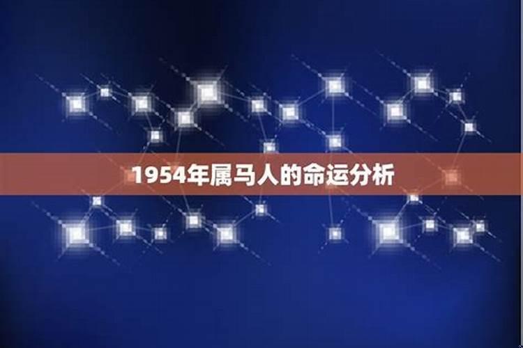 1954年马属于什么命