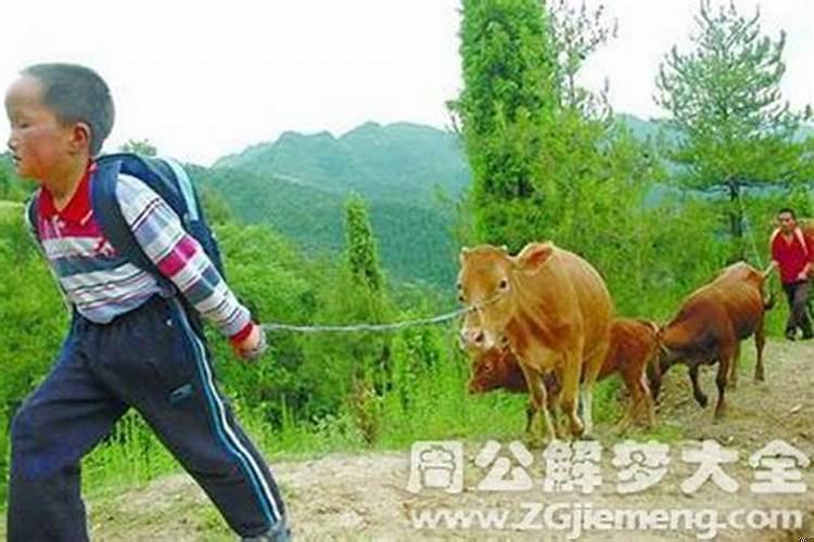 梦见他人砍人见血是什么预兆