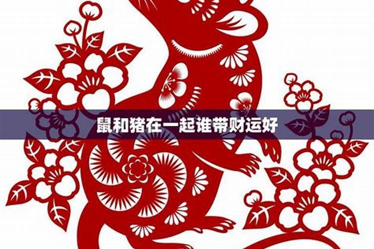 鼠跟鼠合不合财一起做生意