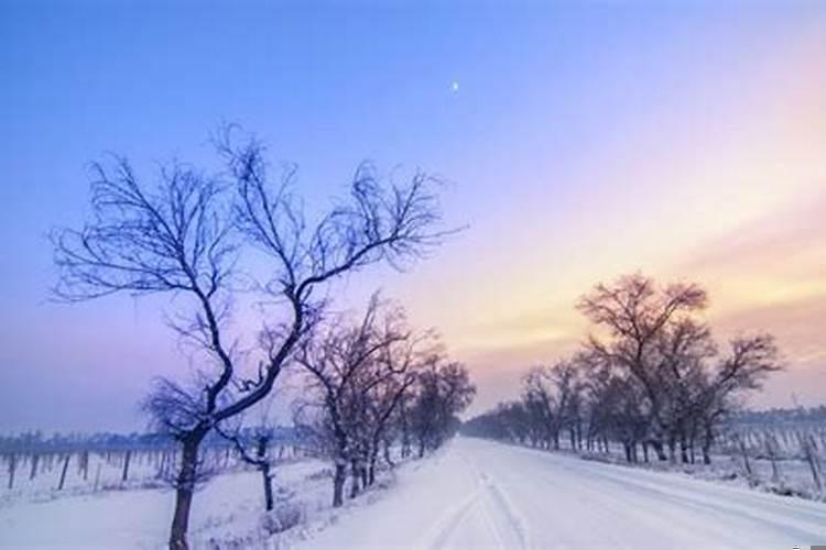 属兔人今年什么颜色是幸运色