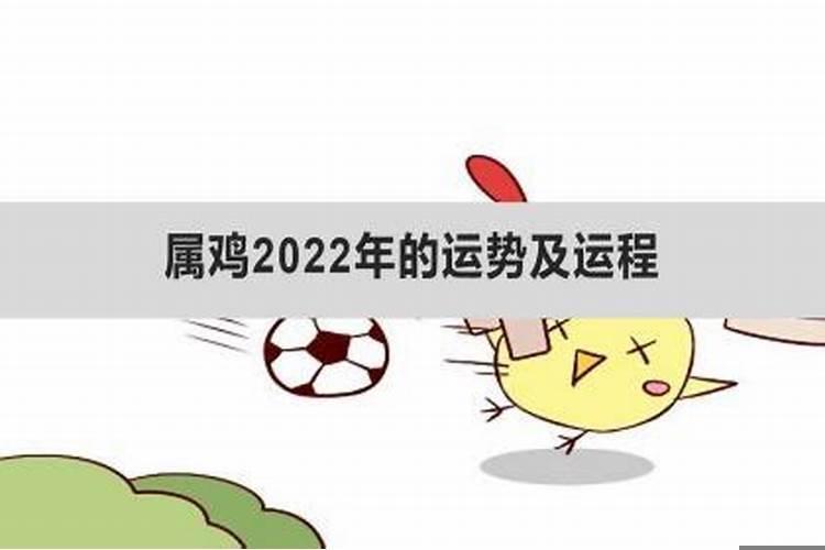 属鸡2025年运势及运程详解