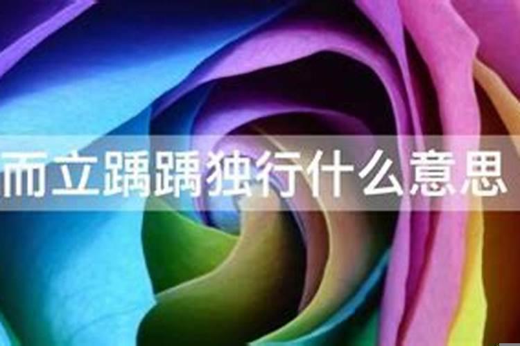 茕茕对孤景什么意思