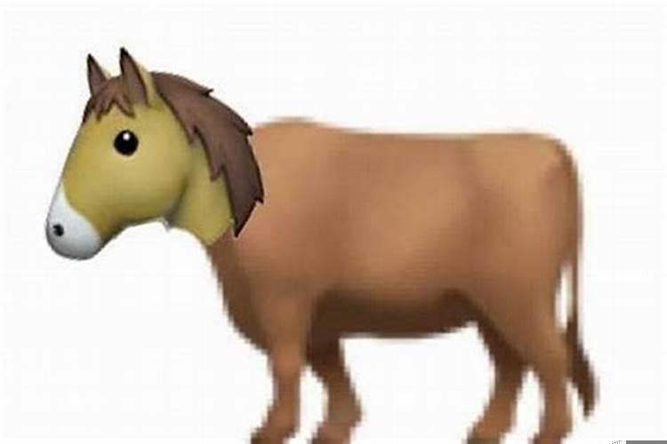 命运坎坷是牛马猜生肖