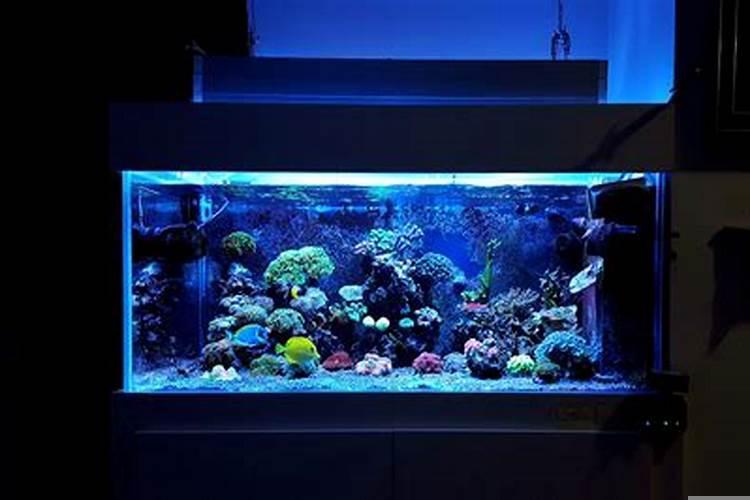 办公室怎么摆设才符合风水