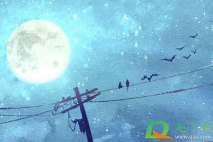 2021年什么人躲星