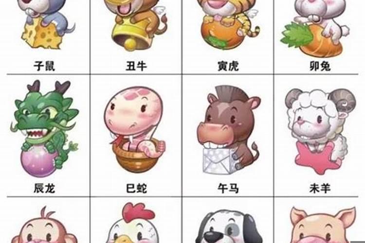 金猪男和金猪女婚姻