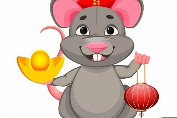 完美组合什么生肖