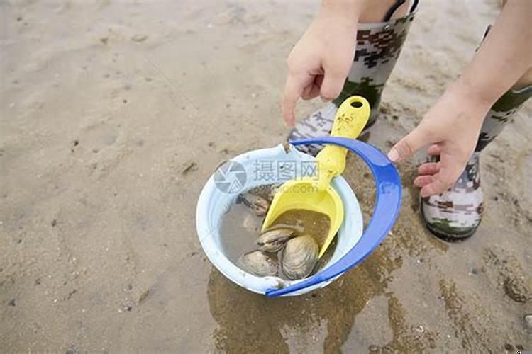 梦见去海边玩捡贝壳什么意思啊