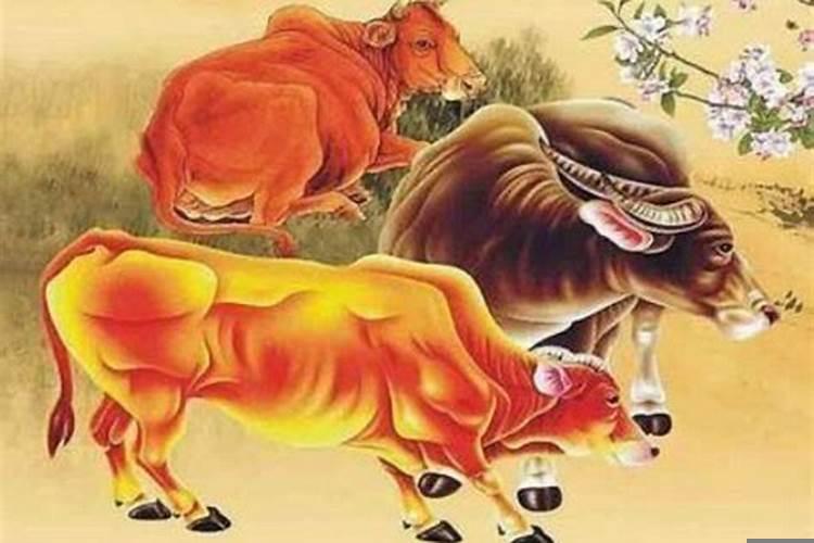 2025年属猴能结婚吗