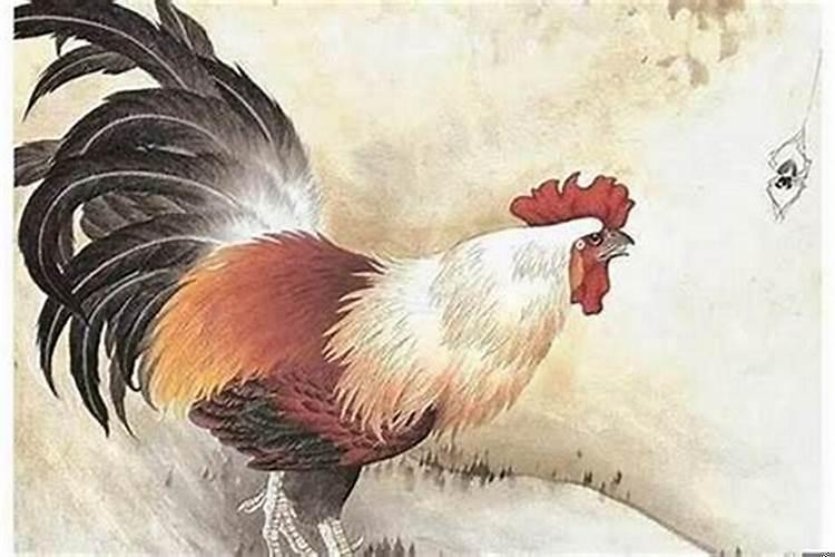 属鸡的人不能和什么生肖在一起