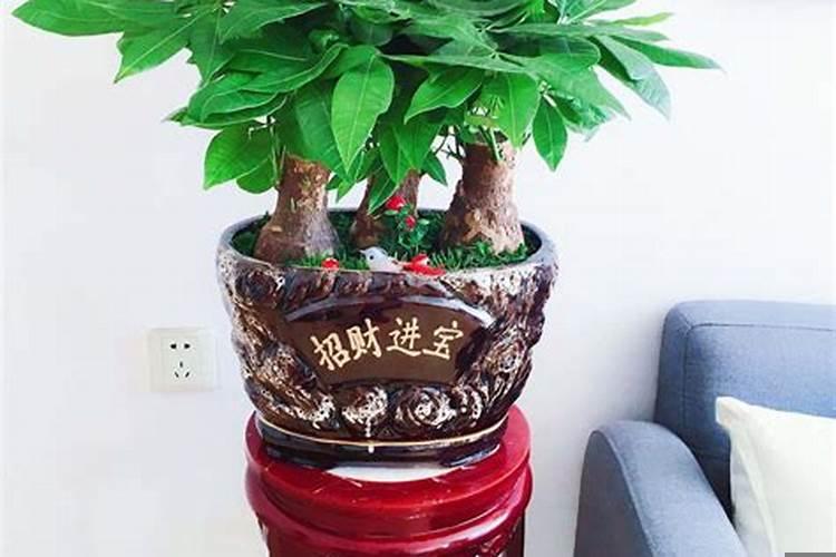 招财小象怎么摆放