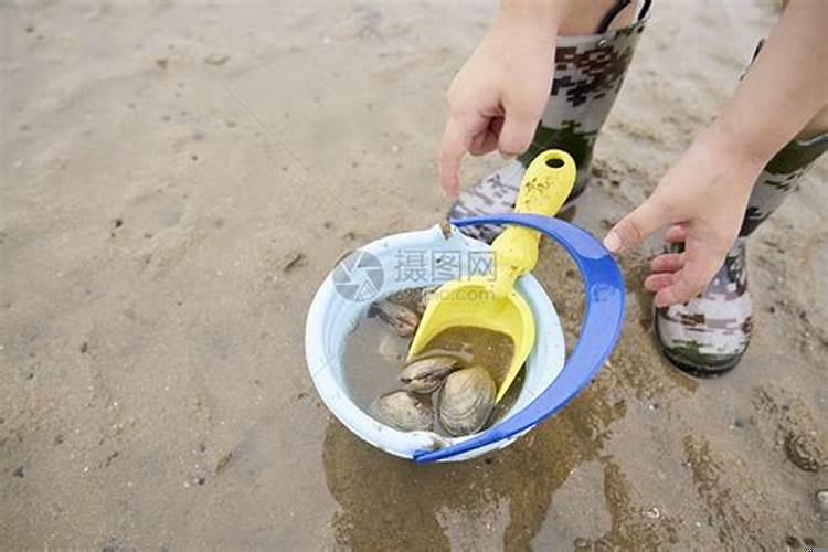 梦见去海边玩捡贝壳什么意思啊