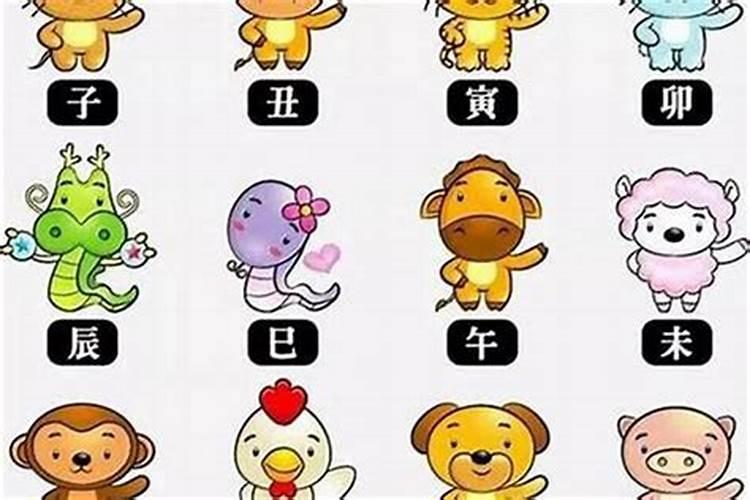 属蛇人2021年全年财运方向