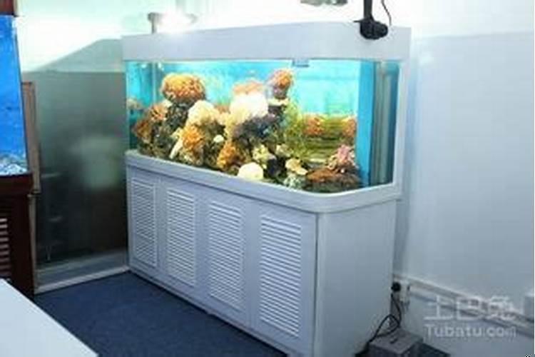 鱼缸放在阳台东边好吗