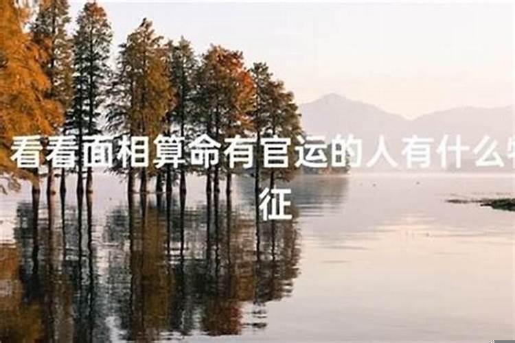 算命人所说的官运指的是什么意思