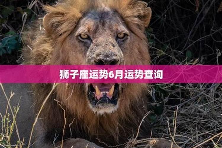 狮子座运势6月运势