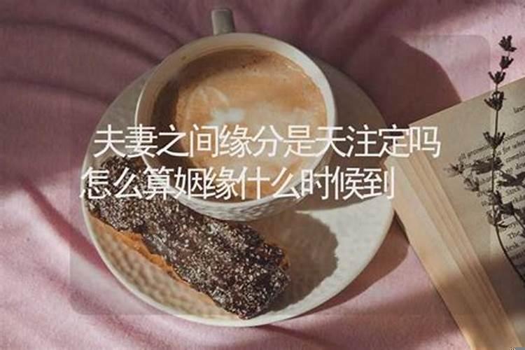 如何算缘分什么时候到