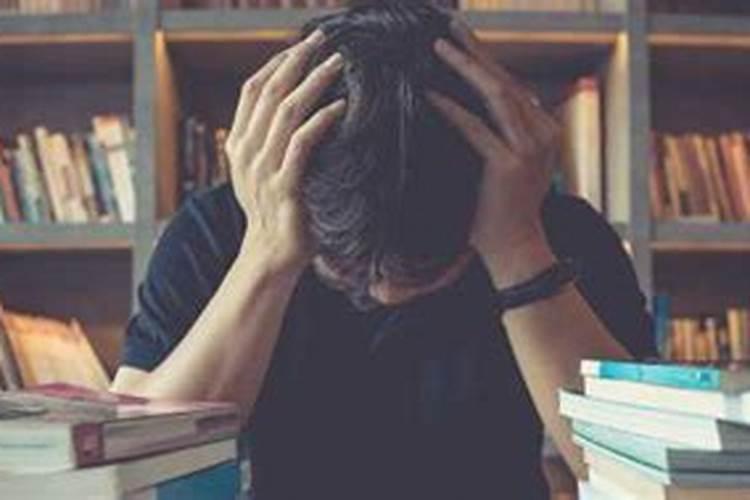 不上学可以学点什么